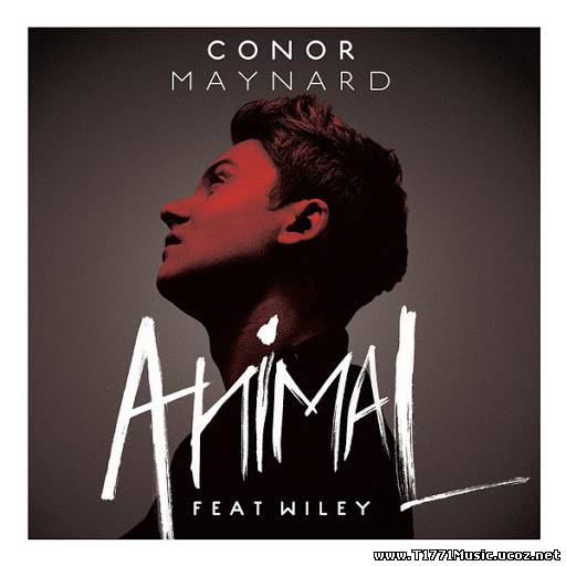 Pop:: Conor Maynard - Animal (2013) (iTunes)